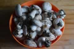 Ģ���ʵ��������ز˲��ף�