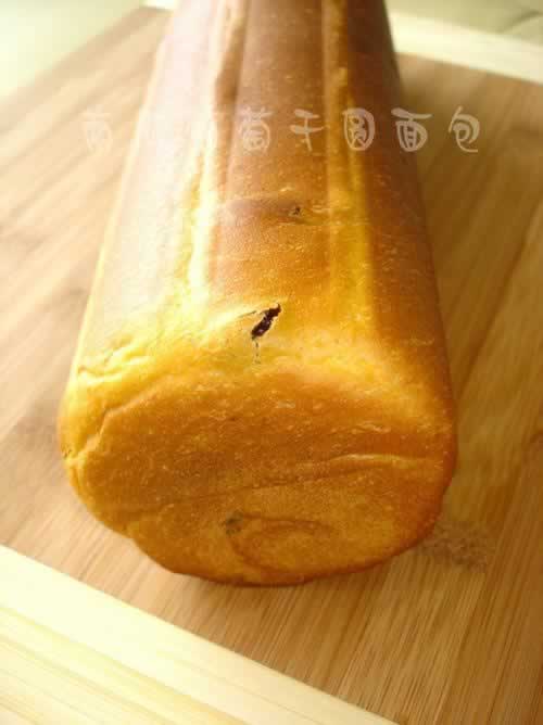 �Ϲ����Ѹ�Բ��˾����������Ͳ��ף�