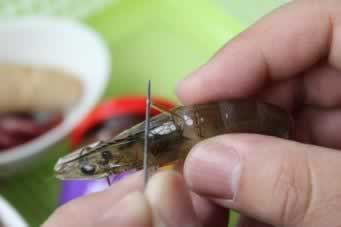 ��ʺ��ʷ�������