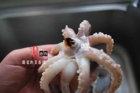 ��������Ϻ������