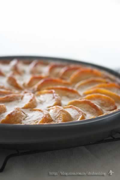 ��������ƻ����������