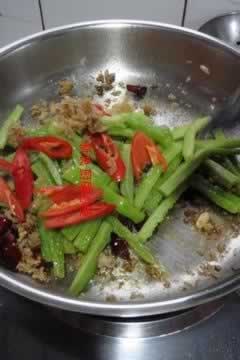 ���Կ�ϵ�����