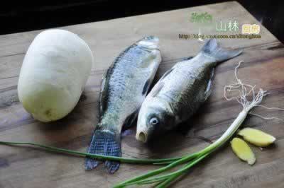 �����ܲ�˿��������