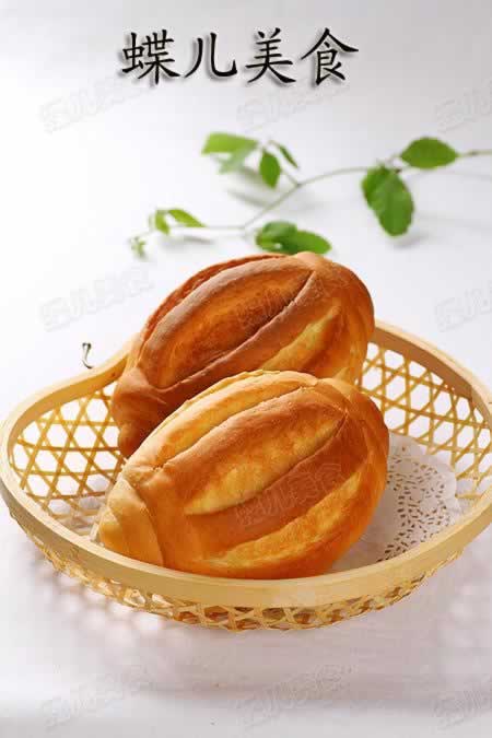 ţ�̹�˾������