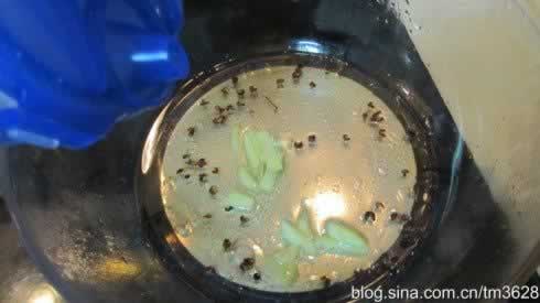 ������ź������