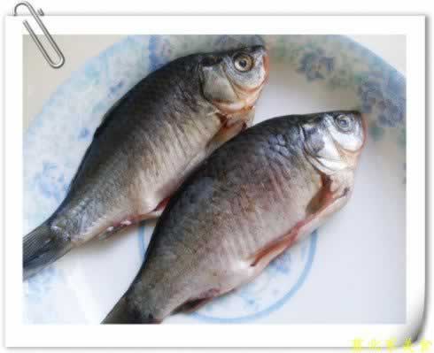 �ܲ�˿�����±�������