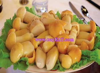 �����ӹ�_�����ӹ�������_ͼ�⳴���ӹ���ô��,�����������