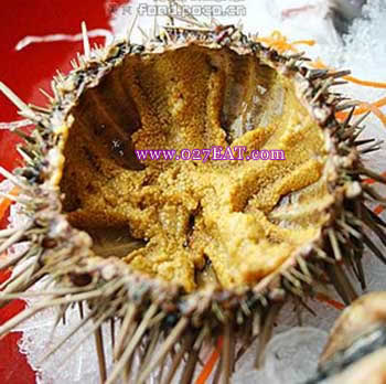 ���������_��������⬵�����_ͼ�������������ô��,�����������