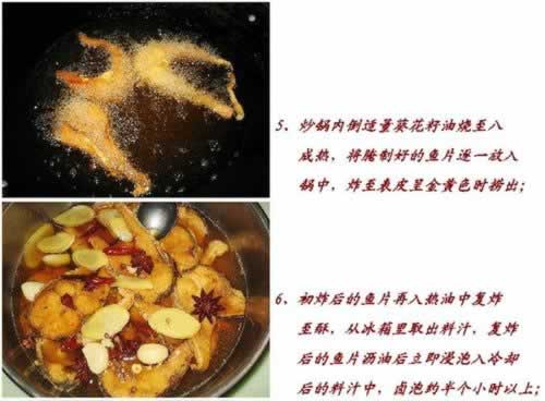 ��ըѬ�������