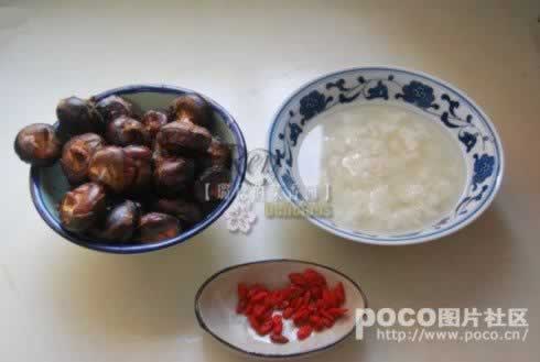 ����ݩ��������