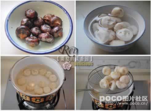 ����ݩ��������