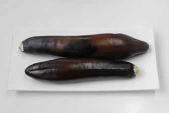 ������ĩ�����ҵ�����