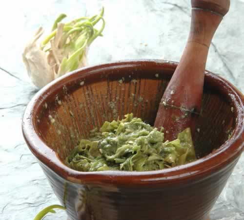 Ƥ��������������