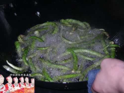 Ƥ��������������