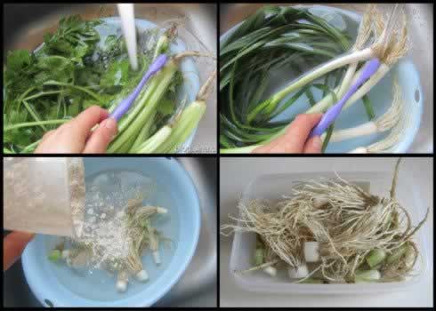 ���β˸�������