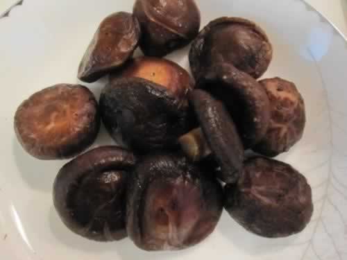 ����ľ����������������