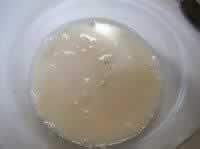 ���������������