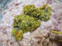 ���������������