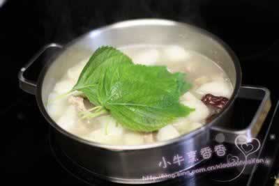 ֥��Ҷ������������