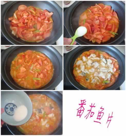 ������Ƭ������