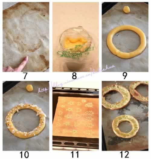 ʥ����ܽ����������