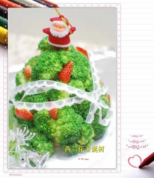 ������ʥ����������