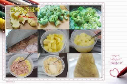 ������ʥ����������