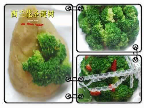 ������ʥ����������