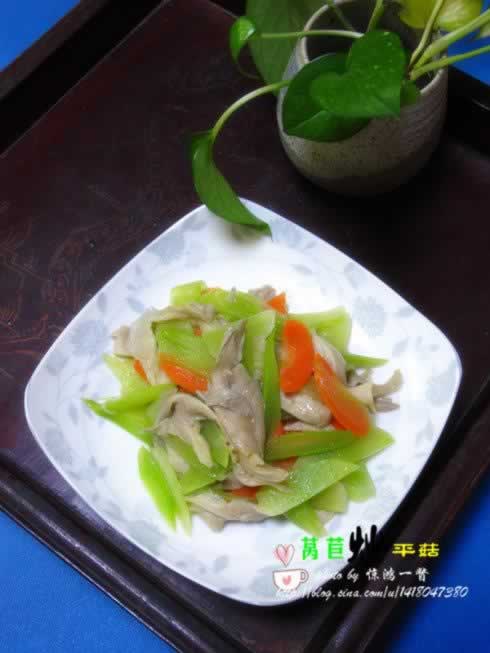 ݫ�ĳ�ƽ��������