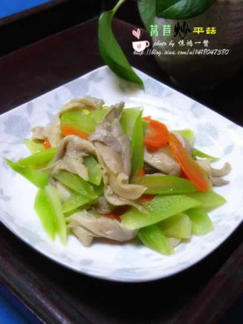 ݫ�ĳ�ƽ��������