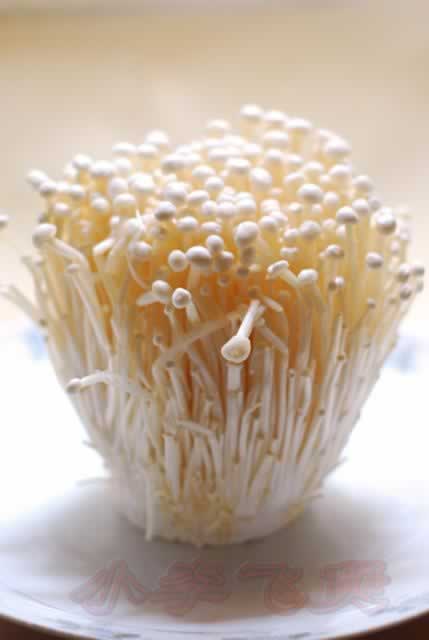 ��ţ�𹽾�������