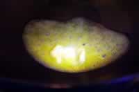 ����������Ũ��������