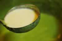 ����������Ũ��������