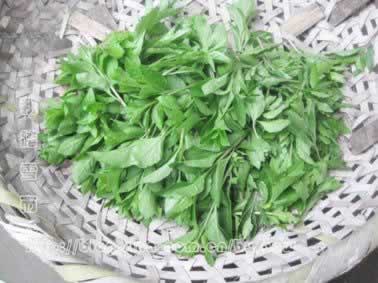 �������ѿ��������