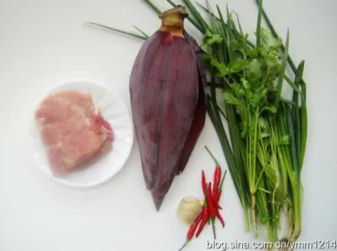 �Ž������������