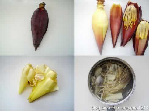 �Ž������������