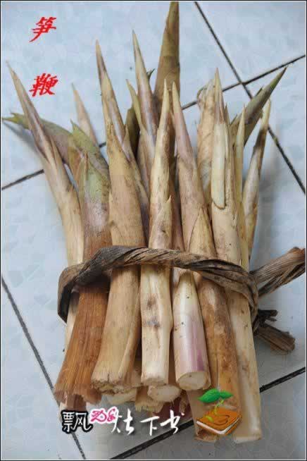 ���������������o������