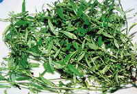 �׻������