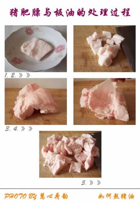 ��������²�������������