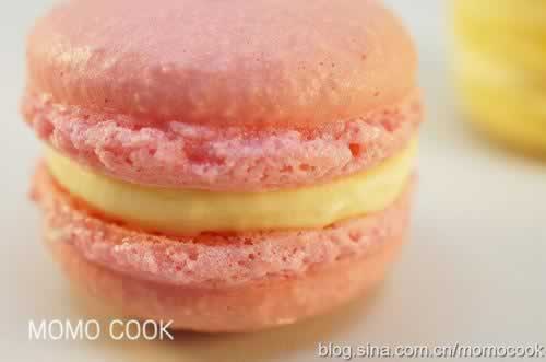 ��˹��������������