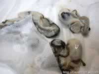 ĵ�������յ�����