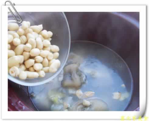 �����㻨��������