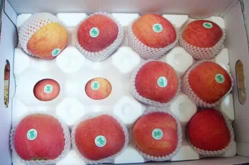 ��ϴƻ��С���ŵ�����