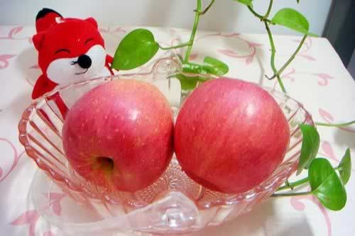 ��ϴƻ��С���ŵ�����