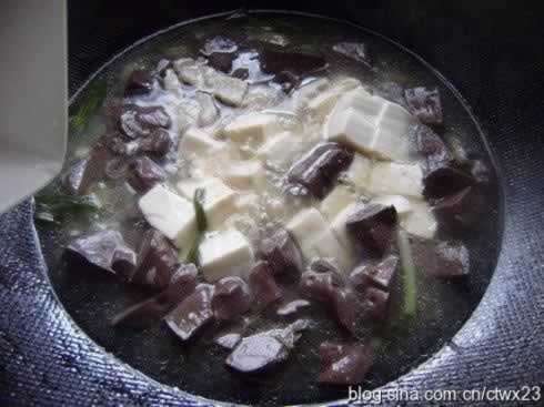 ������Ѫ��������