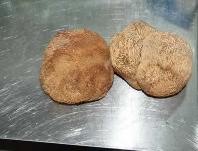 �������ܵ�Һ�ͷ��������