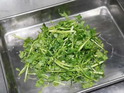 �������ܵ�Һ�ͷ��������