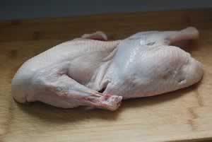 ɳ��������Ѽ��������