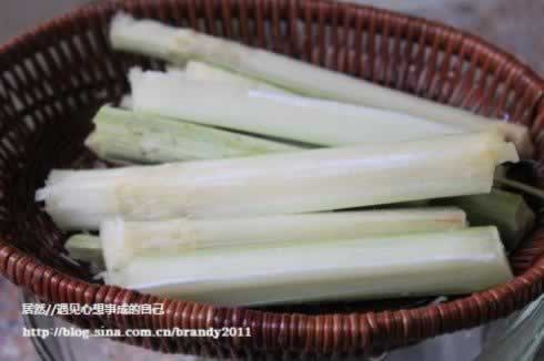 ���������Ź���������