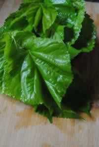 ����ɣ֭���ӵ�����